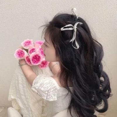 黄梅戏宗师传奇